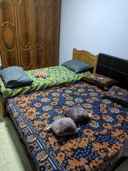 Blk 129 Bukit Batok West Avenue 6 (Bukit Batok), HDB 3 Rooms #601890721